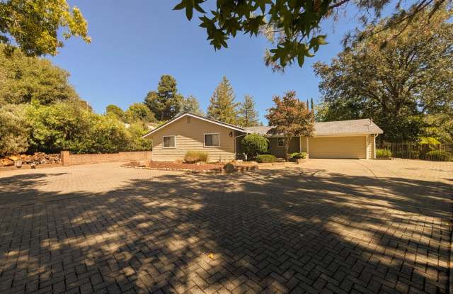Gorgeous Yard / Well Established Neighborhood Gallery 3