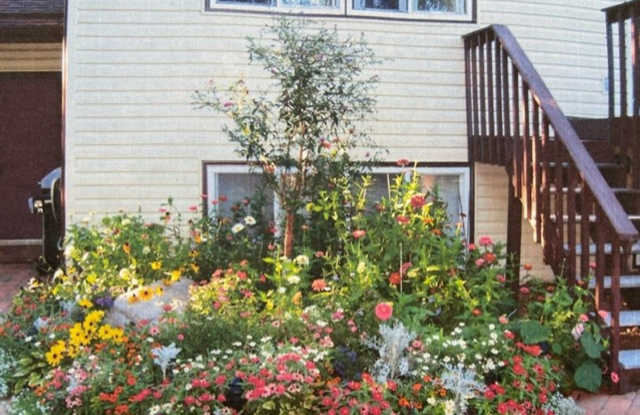Beautiful, Well-maintained 3 Bed/2 home! Available NOW! Gallery 2
