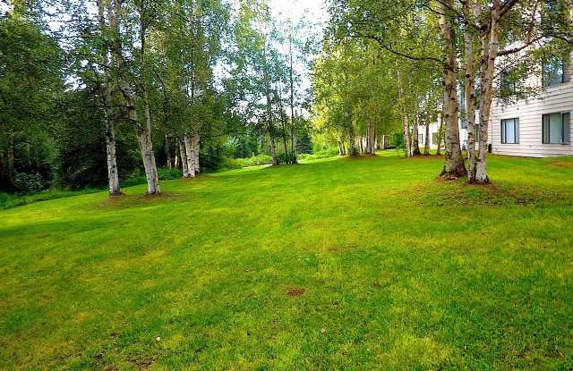 Deluxe One Bedroom in South Anchorage on the Creek Gallery 4