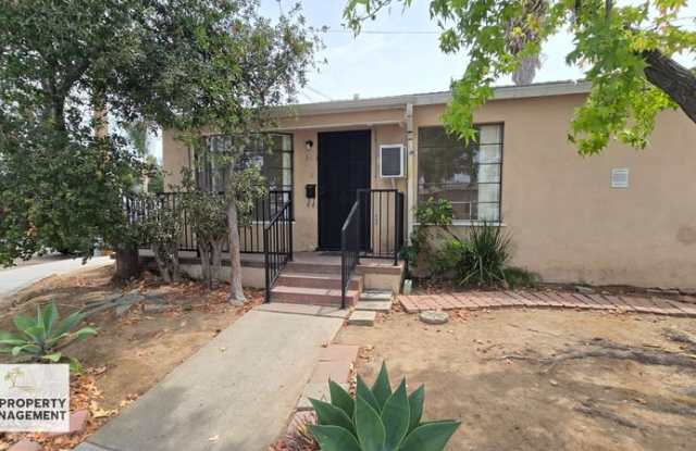 303 Palm Avenue photos photos