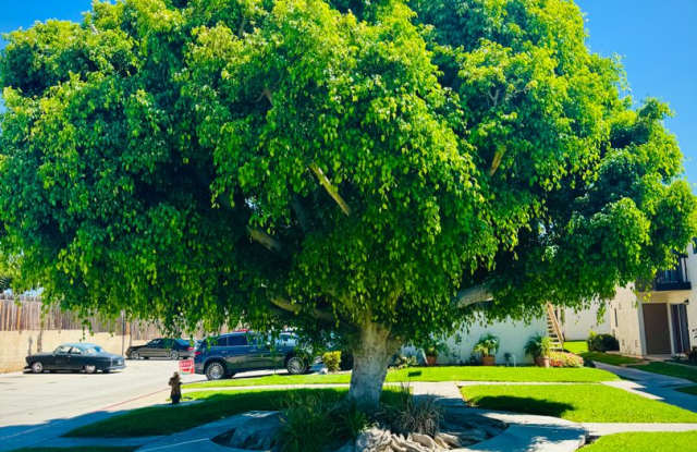 Burkhart Apartments photos photos Burkhart Apartments photos photos