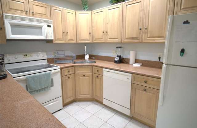 3561 PINE NEEDLE Drive Gallery 4