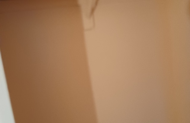 4835 Crack Willow Court photos photos