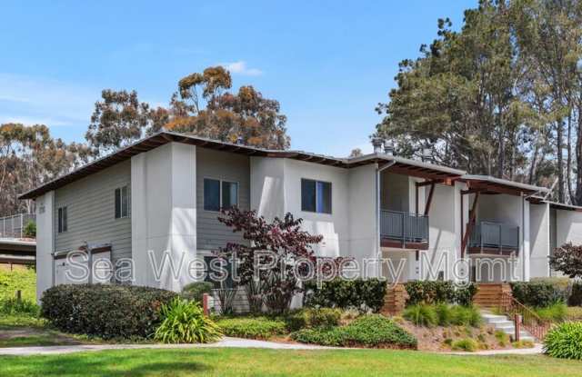 1730 S El Camino Real Gallery 4