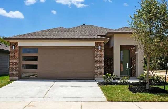 951 Lady Bird photos photos