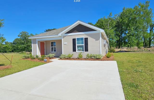 Pet Friendly - Move In Ready - 532 Wildfire Court, Horry County, SC 29569