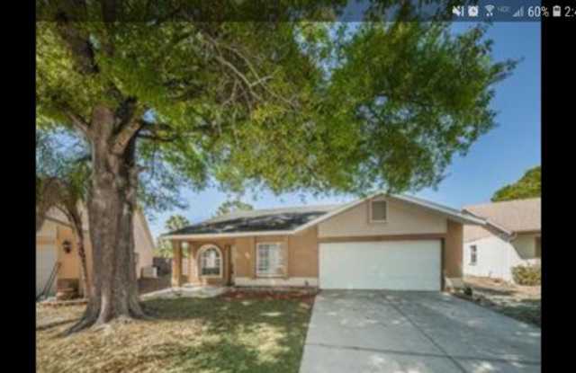 11314 Silverleaf Ct - 11314 Silver Leaf Court, Riverview, FL 33579