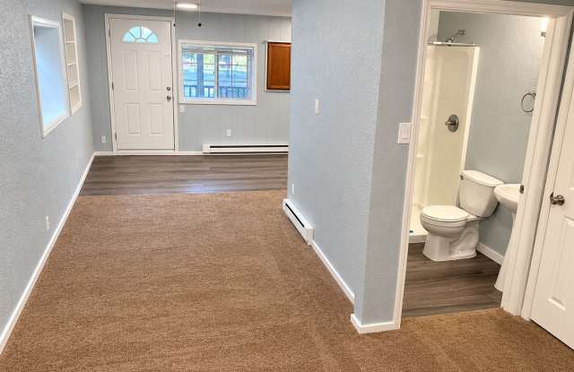 Live Where Adventure Begins - Charming Studio in the Heart of Idaho Springs! Gallery 2
