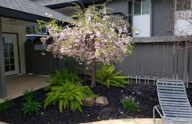 Sycamore Green photos photos