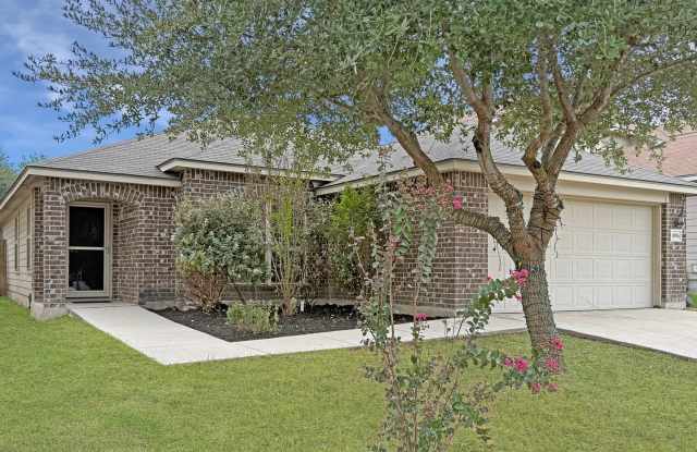 4096 Cherry Tree Gallery 1