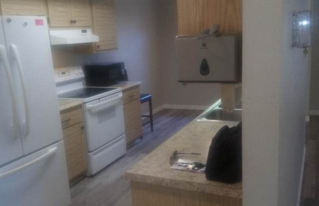 1301 Crossbow Ln - 1301 Crossbow Lane, Tarpon Springs, FL 34689
