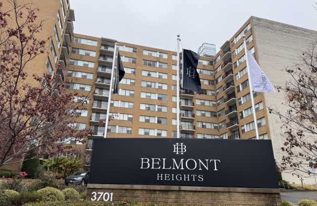 Belmont Heights Gallery 4