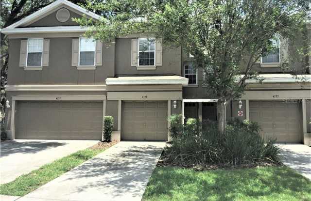 4135 BISMARCK PALM DRIVE - 4135 Bismark Palm Drive, East Lake-Orient Park, FL 33610