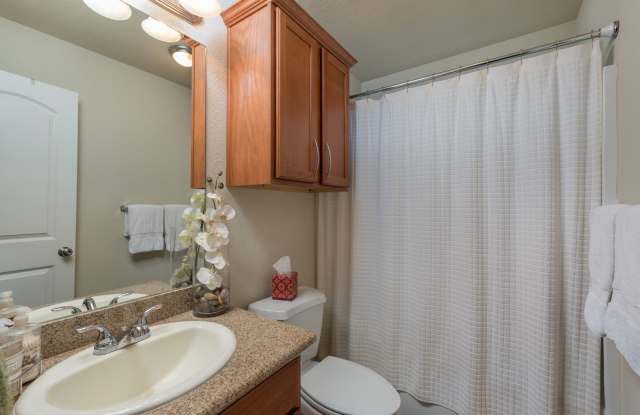 AUG PRE-LEASE! Beautiful 3 Bed/2 Bath in Edgewater Near RELLIS! Gallery 1