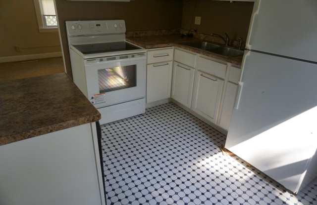 Single Family House Close to U of M Campus Gallery 3