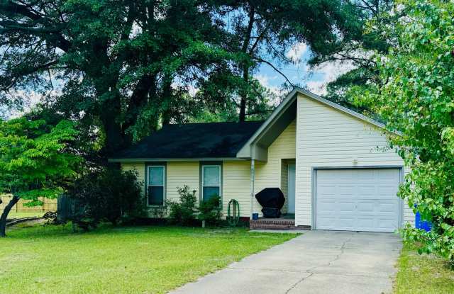 3 Bedroom, 2 Bath in Jack Britt School District Gallery 1