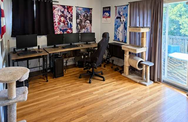 Cozy 2-bedroom in Johnson City Gallery 4