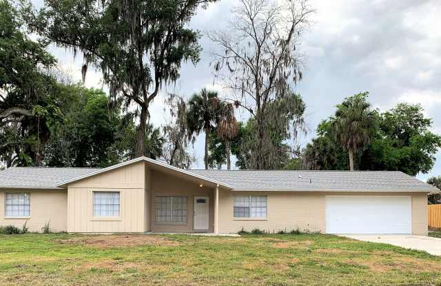 820 Old Darby St - 820 Old Darby Street, Seffner, FL 33584