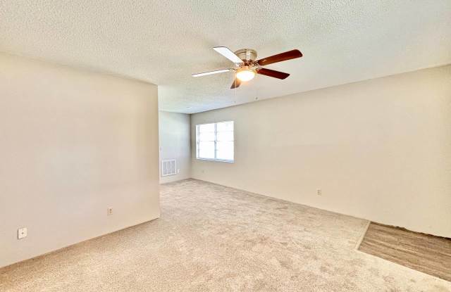 24862 Us Highway 19 N Apt 106 Gallery 3