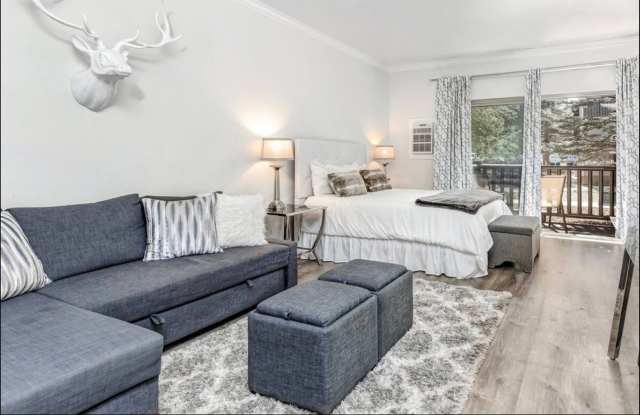 Downtown! Gorgeous Main Floor Furnished Studio Gallery 4