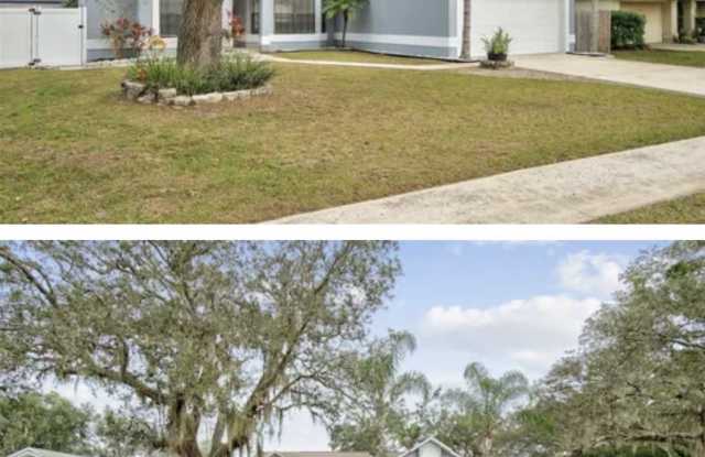 9533 Cullowhee Court photos photos