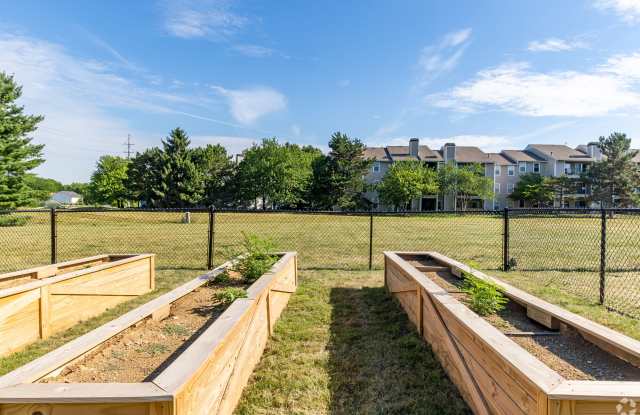 Sawmill Ridge Gallery 4