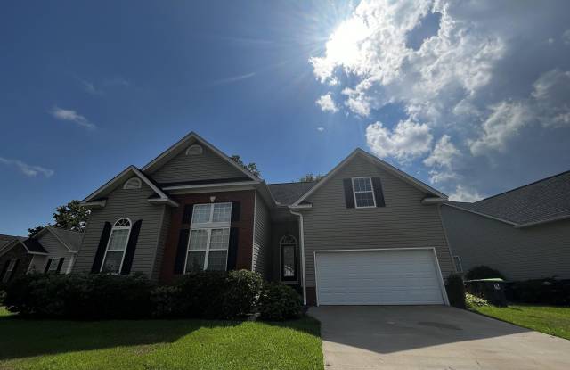 206 Elm Creeck Court - 206 Elm Creek Court, Lexington County, SC 29036