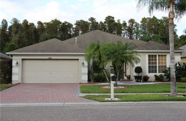 16113 RAMBLING ROAD - 16113 Rambling Rd, Odessa, FL 33556