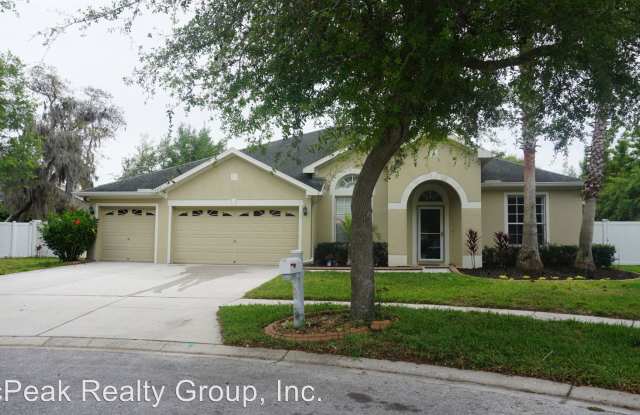 12504 Safari Ln - 12504 Safari Lane, Riverview, FL 33579