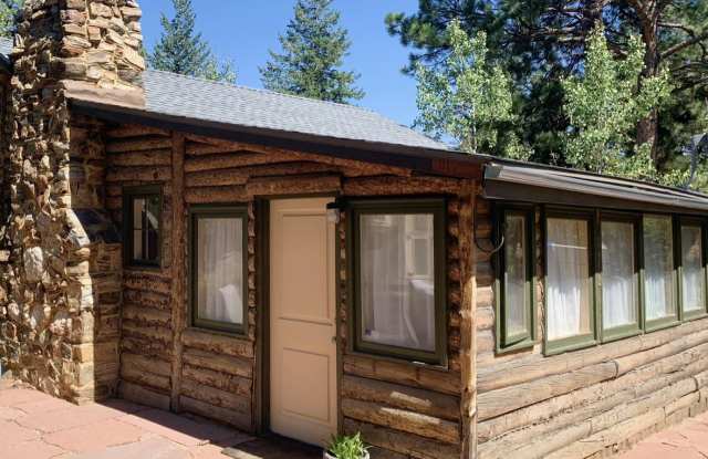 258 Raccoon Circle - 258 Raccoon Circle, Clear Creek County, CO 80439