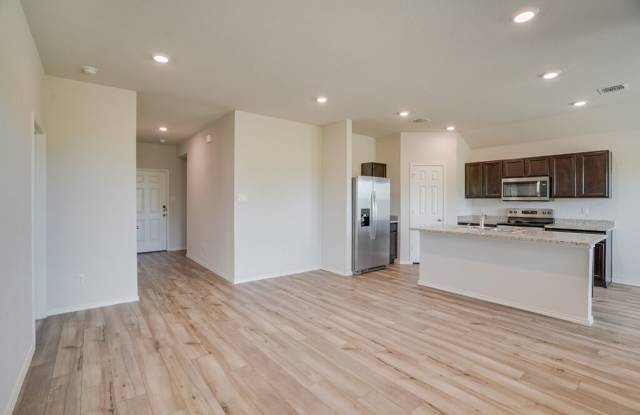 521 Anconia Ct, Jarrell, TX 76537 Gallery 4