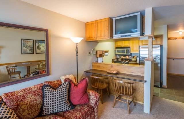 2 bedroom/2 bathroom condo in Mount Crested Butte photos photos