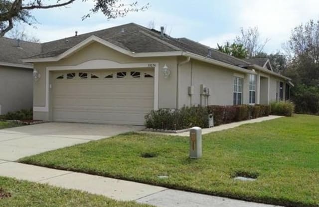 31353 Shaker Cir - 31353 Shaker Circle, Wesley Chapel, FL 33543