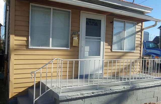 *Spacious  Updated 2BD/2BA Single Family Home Available in Mt Washington* - 301 Boggs Avenue, Pittsburgh, PA 15211