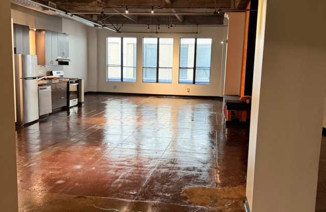 Hellman Lofts Gallery 2