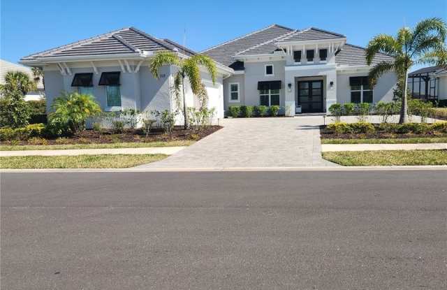 512 BLUE SHELL LOOP photos photos