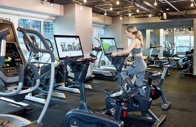 The Harlo photos photos