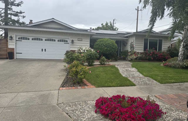 42624 Lerwick Street photos photos