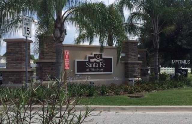 27518 DESERT WILLOW WAY - 27518 Desert Willow Way, Wesley Chapel, FL 33544