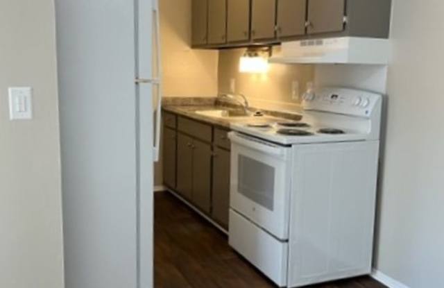 Charming 1 Bedroom/1 Bath near Downtown Rochester! - 847 Ludlow Avenue, Rochester, MI 48307