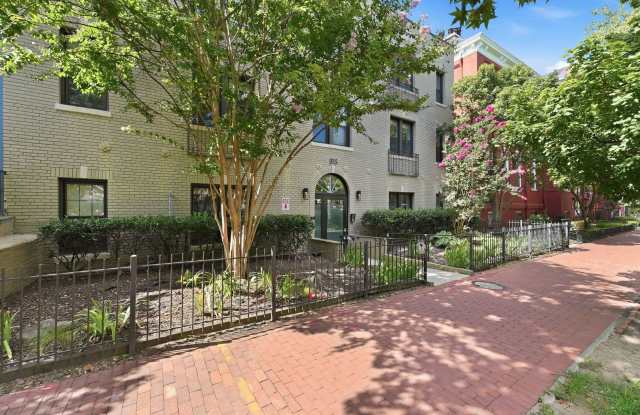 Sun-Filled Furnished 1BR in the Heart of Capitol Hill! photos photos Sun-Filled Furnished 1BR in the Heart of Capitol Hill! photos photos