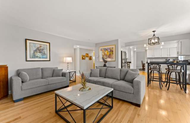 Fully Furnished Modern Home With Great Location photos photos