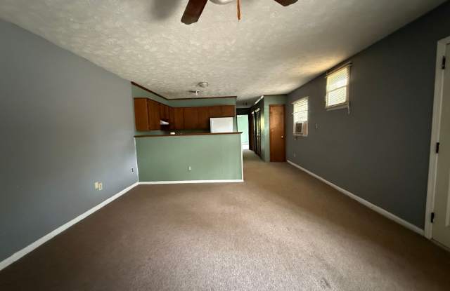 One Bedroom Apartment in Wadesboro photos photos
