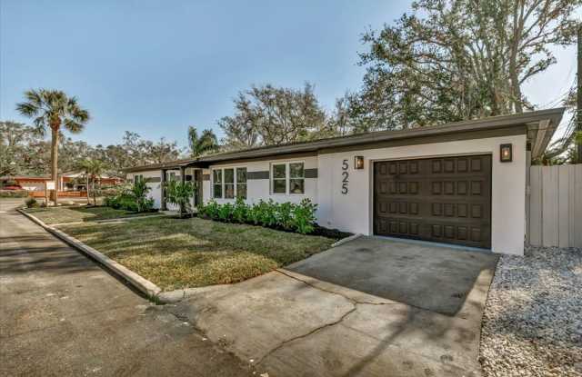 Fully Remodeled Snell Isle Luxury Home - Available for Rent or Purchase! Gallery 3