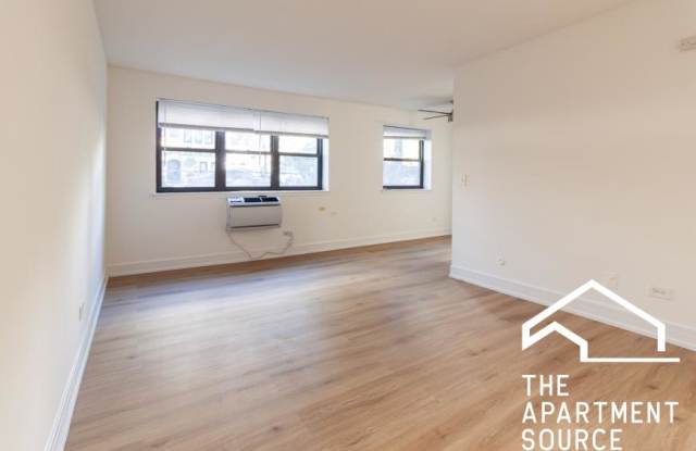 441 West Barry Ave. - 441 West Barry Avenue, Chicago, IL 60657