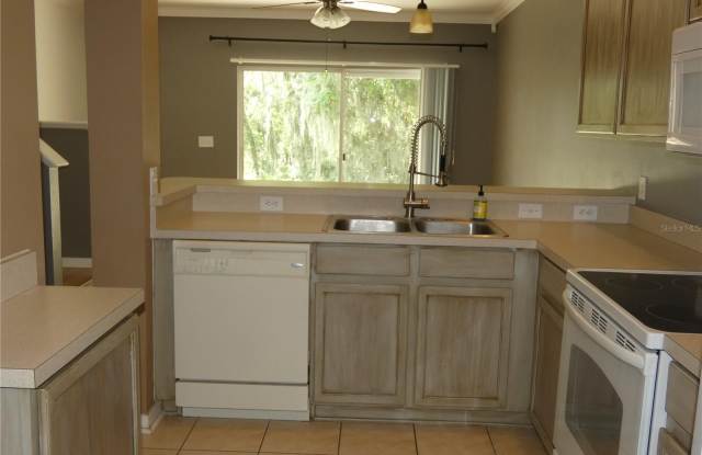 15704 FISHHAWK FALLS DRIVE Gallery 3