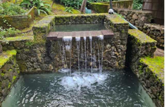 Stunning Architectural Masterpiece! 5BR+Yoga Studio/4.5BA! Ross! Views! Pool! Pet! Waterfalls!  PROGRESSIVE Gallery 3