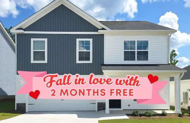 936 Hayston Way - 936 Hayston Way, Richland County, SC 29063