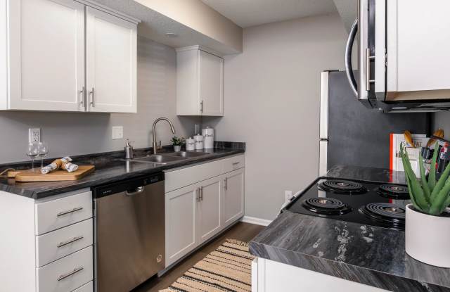 Emory Lakes Luxury Apartments Gallery 4