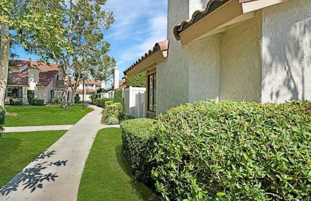 1301 Solera Ln. Gallery 2